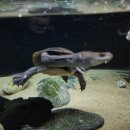 충전하우스 이미지