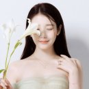 이미