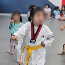 용인대오현태권도 네이버블로그