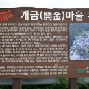 개금약초 이미지