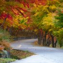 금호리조트(주)화순 이미지