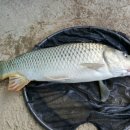 무태낚시터 이미지