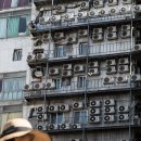 연일통상 이미지