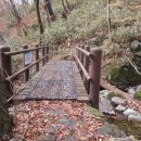 신봉골