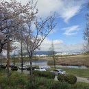 낙동강하천공원주차장 이미지