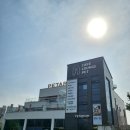 대명루첸.신평마을(28490) | 하남 미사 실내 대형 애견카페 '펫타리움' 내돈내산 후기