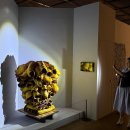 경충대로 2697번길 2 이미지