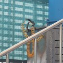 수내테니스장 | 성남 탄천 테니스장 코트 방문 후기 | 예약 가격 주차