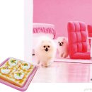 도안남로 이미지