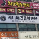 케니애견돌봄센터 이미지