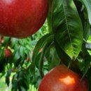 갑정농장 이미지