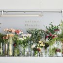 마켓플레리 이미지