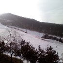 양지파인리조트 이미지