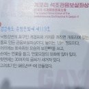 고령군성산면보건지소 | 고령 대가야박물관, 대가야왕릉전시관, 지산동 고분군 탐방[Ⅰ]