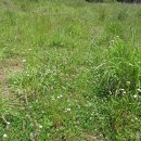 장산목장 이미지