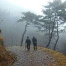 솔바람길 이미지