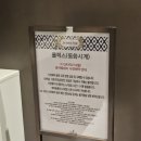 대전 갤러리아 타임월드 2025 P-Day 참석 후기