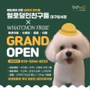 털로덮인친구들 달서점 이미지