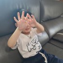 멍멍회관 | 추천, 바다가들리는편의점, 젝시믹스 슬리퍼, 장성 아문당, 남면 로컬푸드, 군체 후기, 메가 말차컵빙수