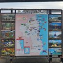 해안짜장면 | 왕복 40분, 가족과 바다 위를 달린 시간 죽변해안스카이레일 후기 🚋🌊