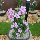 도열농장 이미지