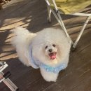 오디가개 이미지