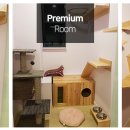 캣츠호텔 이미지