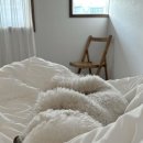 희동댁