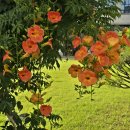 안양시청.시의회청사 이미지