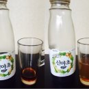 약이 되는 산야초 네이버블로그