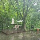 하백의정원 이미지