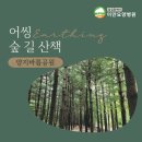 도심건강길 4길 이미지