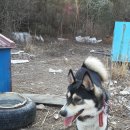 옥산2농장 이미지