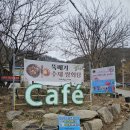 커피먹고가세 | 파주 고양이 카페 | 커피 쌍화탕 두부인절미 맛집 커피먹고가세