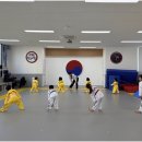 국가대표 탑 태권도장 이미지