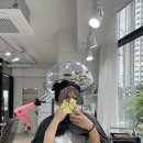 비비헤어(BB헤어) - 수원시 장안구 | 비비헤어(BB헤어)