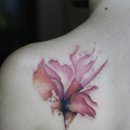 고래메드 이미지