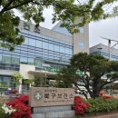 북구 보건소 | 울산 북구보건소 백일해 예방접종 후기｜무료 접종부터 가이드북까지
