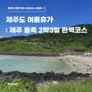 수산리-18 | [7월 제주] 제주도 여행 동쪽 2박 3일 완벽코스/ 제주 실내 가볼만한 곳, 용눈이오름 일몰, 올티스 티...