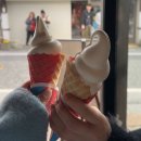 유유목장 | 일본 후쿠오카 여행 유후인 버스투어 유유버스 내돈내산 후기