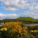 순천만국가정원 이미지