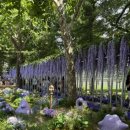 보라매공원 이미지