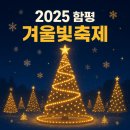함평천지종합복지관 | 2025 함평 겨울빛축제 정보 - 입장료 가수 주차 프로그램