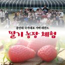용인대 국가대표 기백 태권도장 이미지
