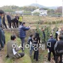 봉현농장 이미지