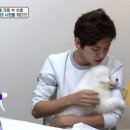 동호동물병원