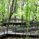 수락산 순환산책로 이미지