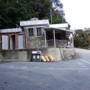 유격장 지나 이미지