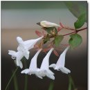 선돌농장 이미지