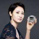 로얄앵커 이미지